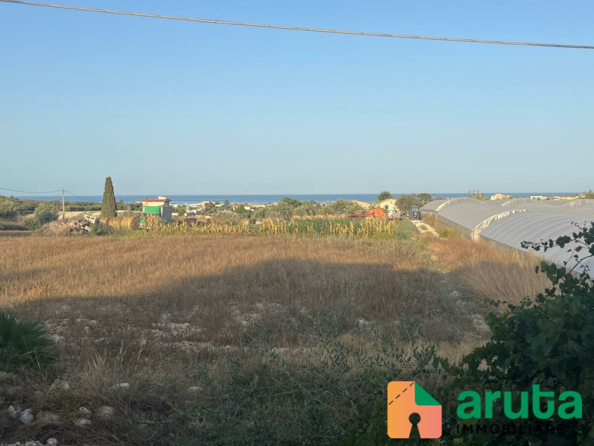 Pachino - C.da Cozzi (61)