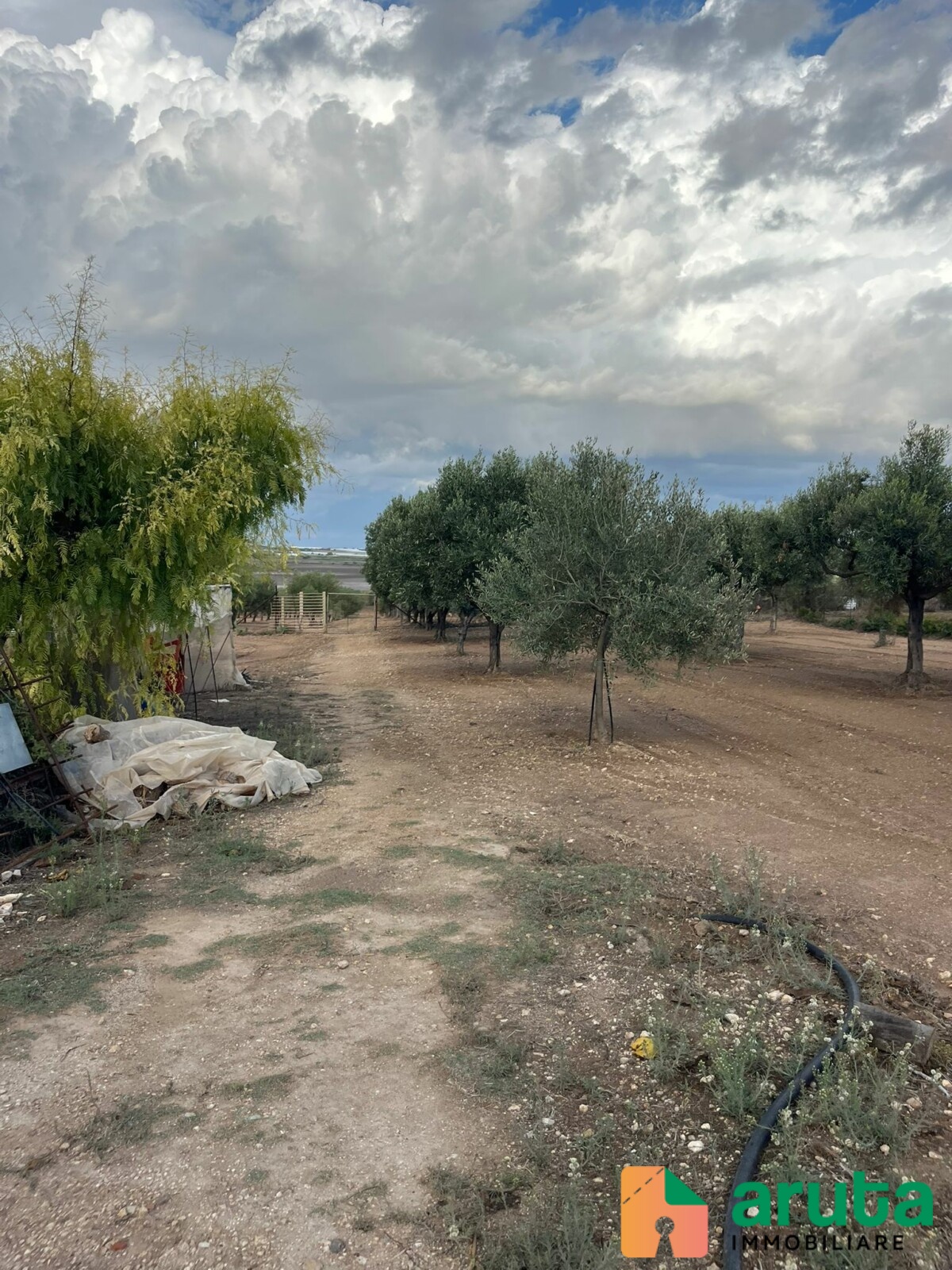 Ispica - C.da Marza (15)