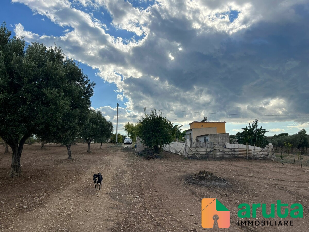 Ispica - C.da Marza (26)