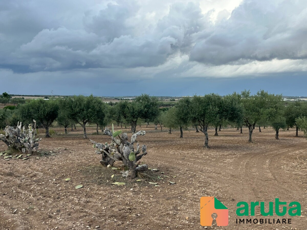 Ispica - C.da Marza (28)