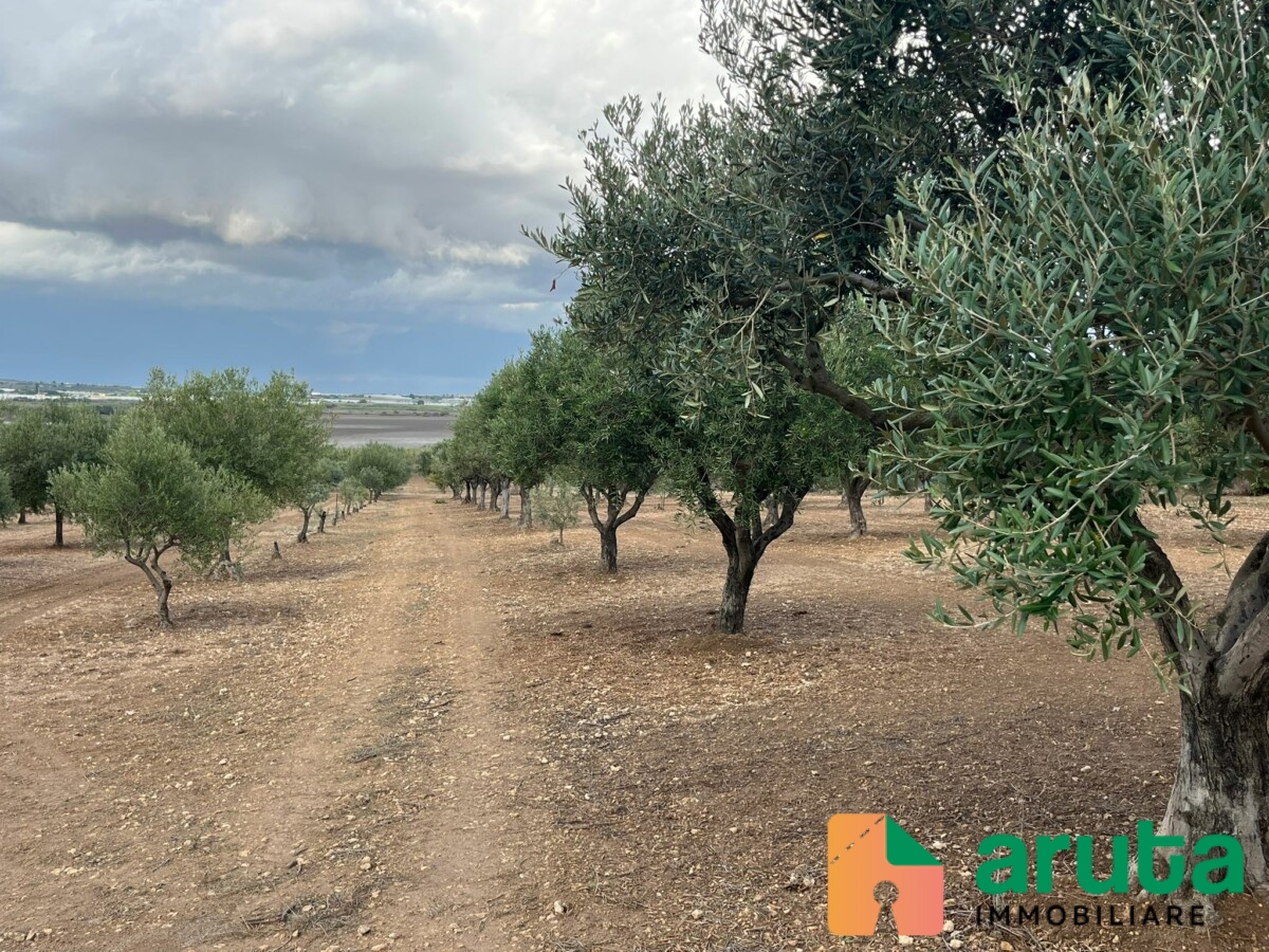 Ispica - C.da Marza (6)