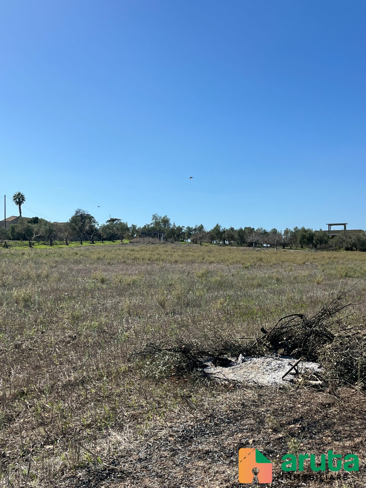 Noto - Terreno c.da Burgio (1)