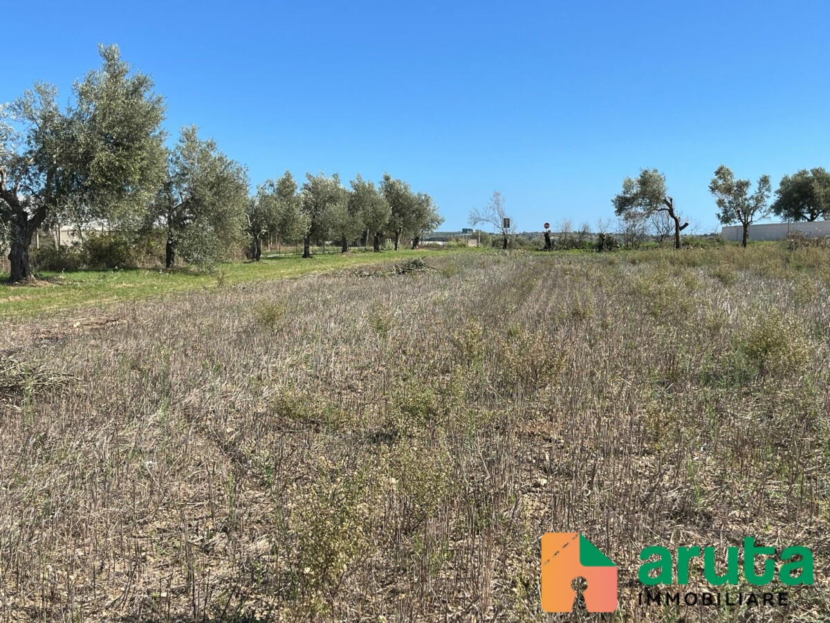 Noto - Terreno c.da Burgio (10)