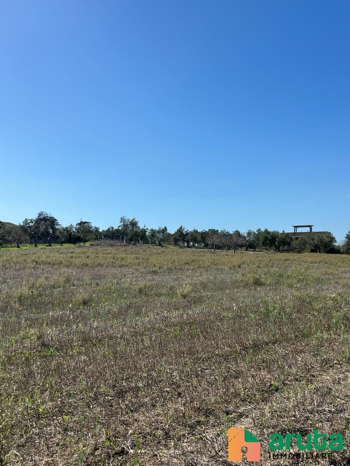 Noto - Terreno c.da Burgio (2)