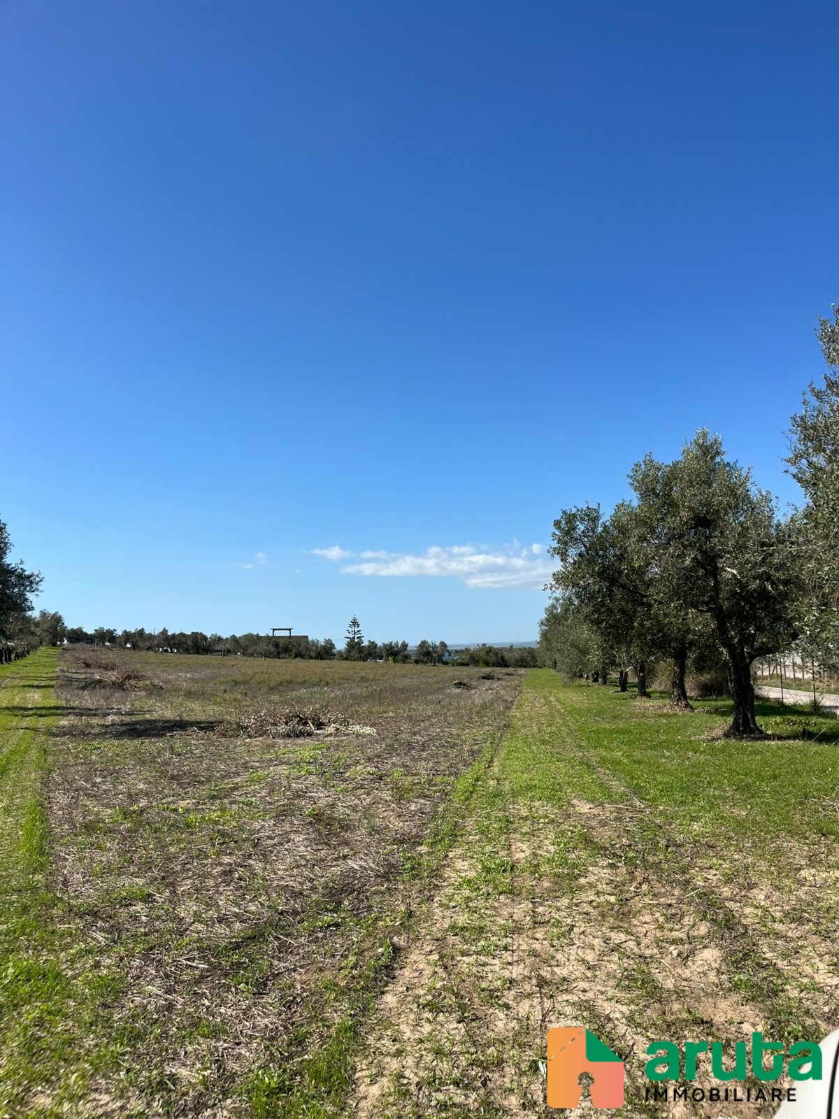 Noto - Terreno c.da Burgio (4)