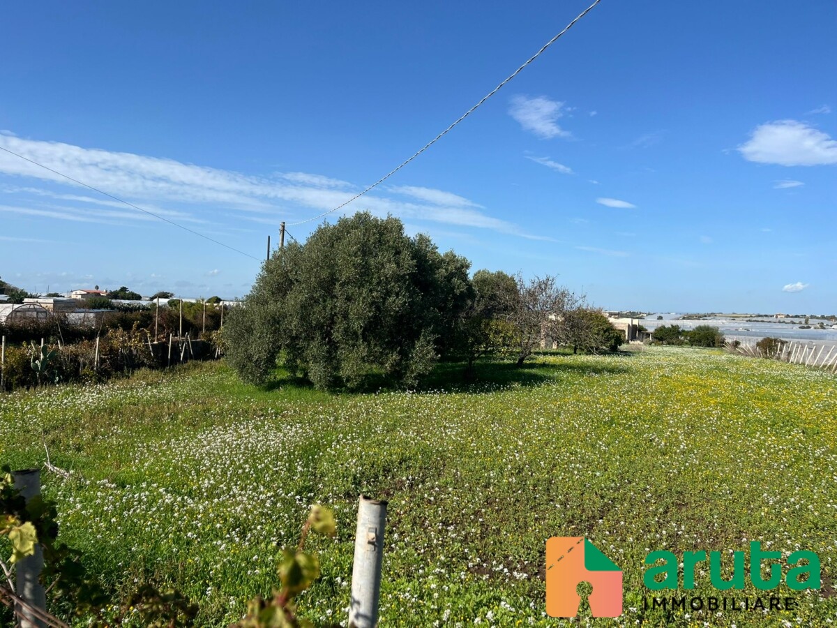 Pachino - C.da Mauicini (1)