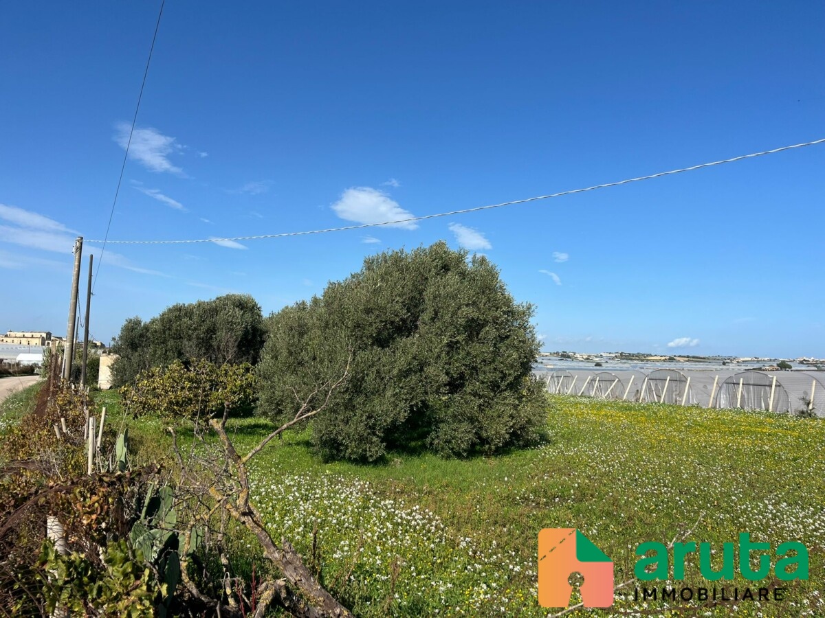 Pachino - C.da Mauicini (6)