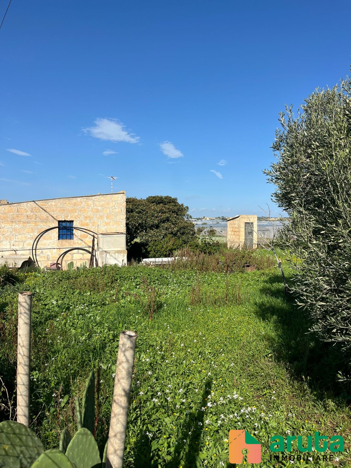 Pachino - C.da Mauicini (7)