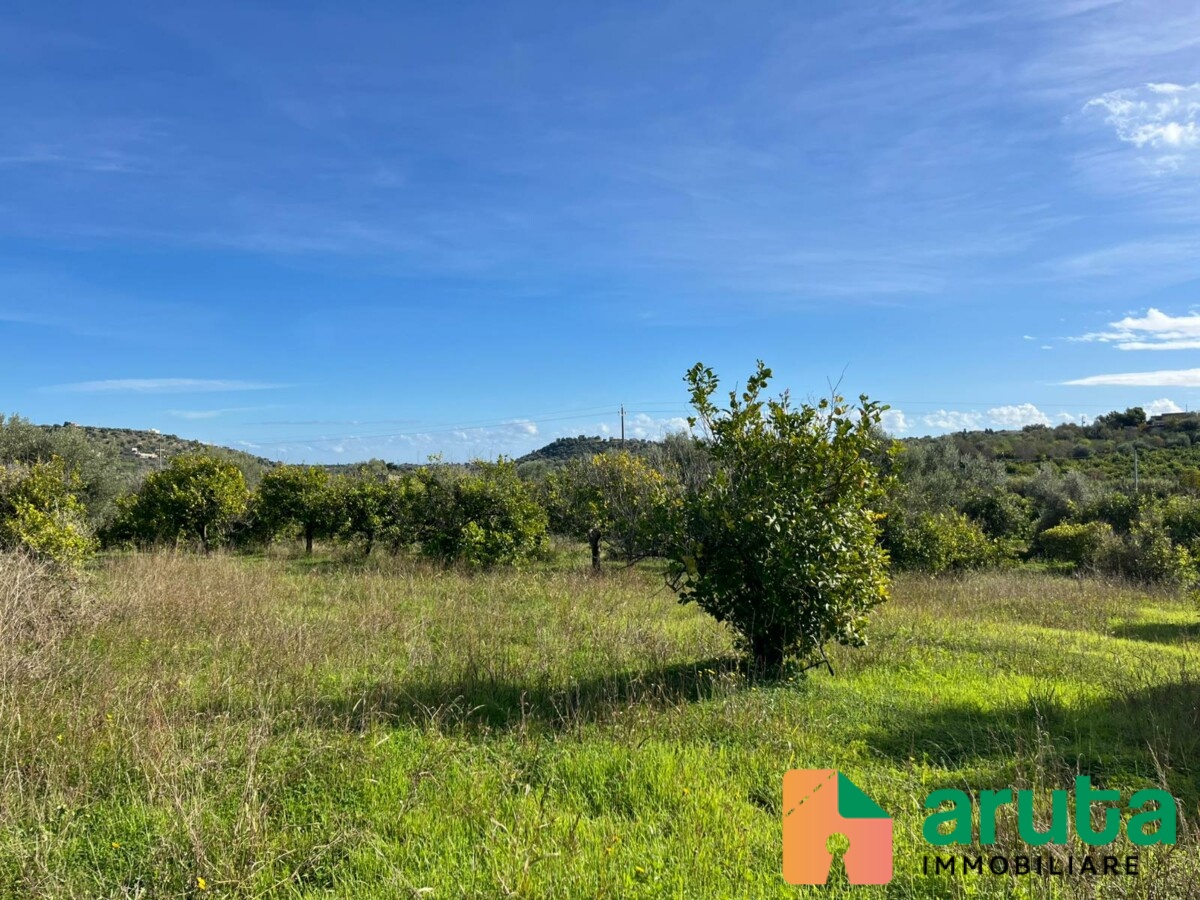 Noto - C.da Gioi (1)