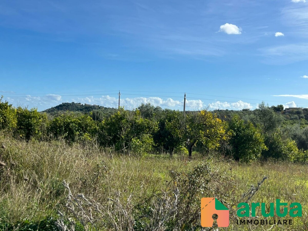 Noto - C.da Gioi (10)