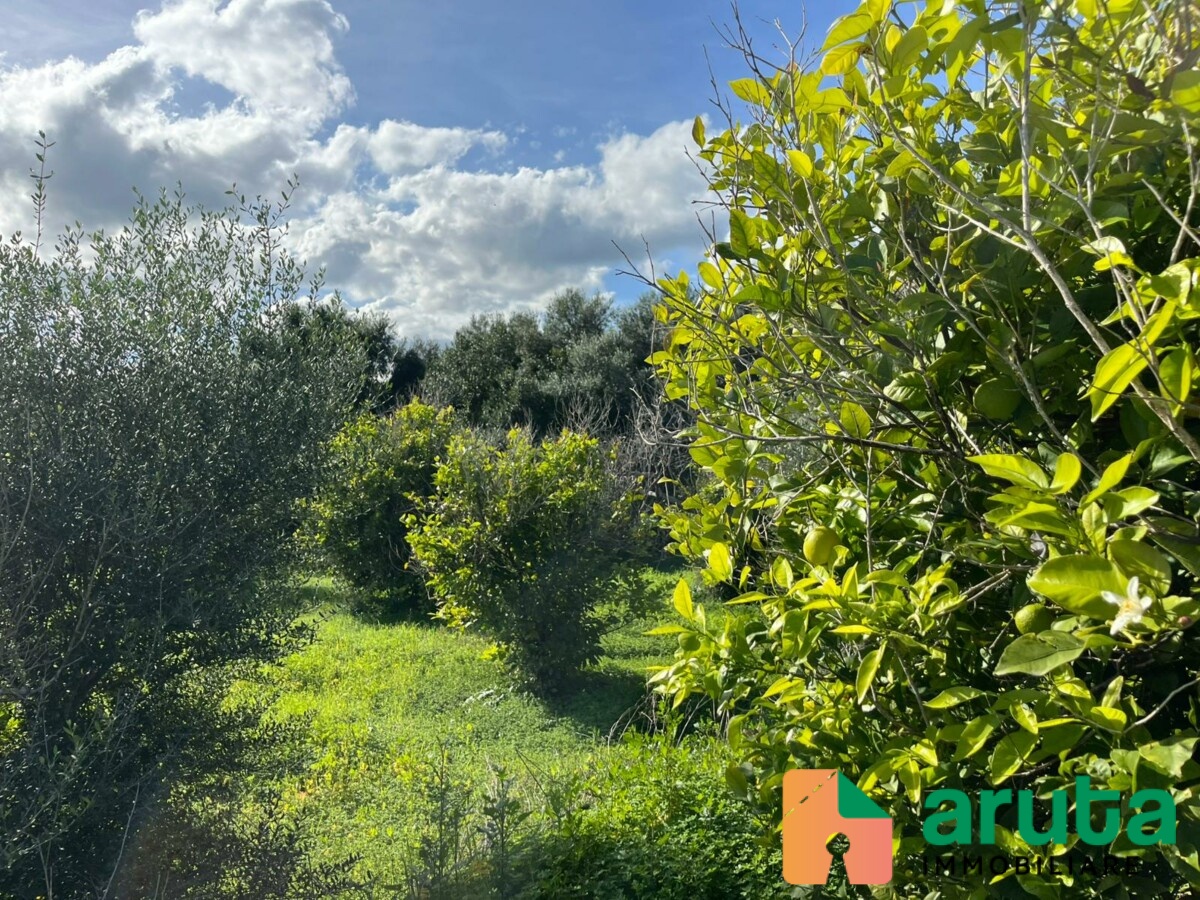 Noto - C.da Gioi (11)