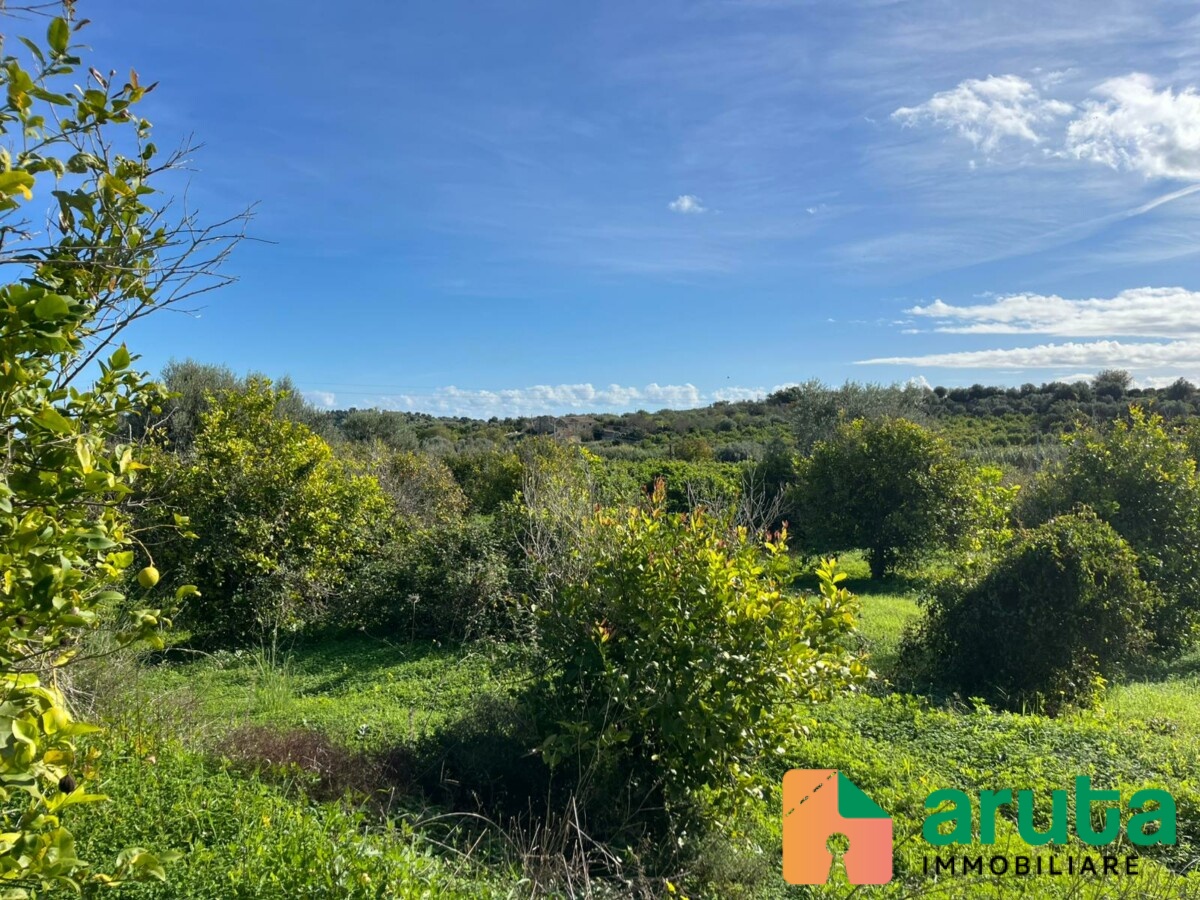 Noto - C.da Gioi (13)