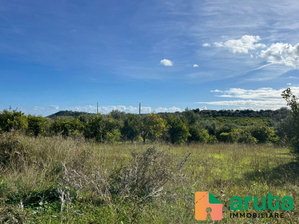 Noto - C.da Gioi (18)