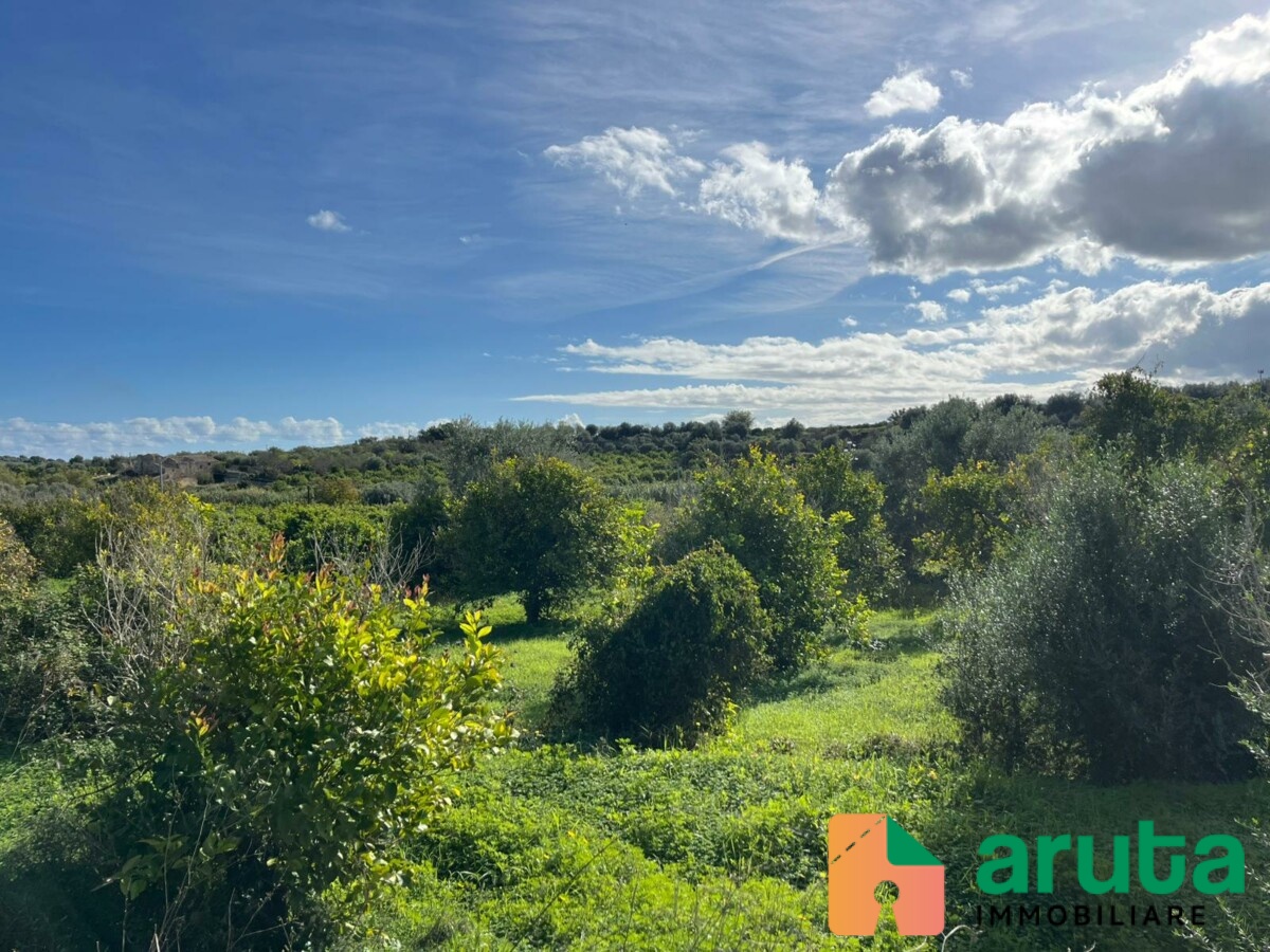 Noto - C.da Gioi (19)