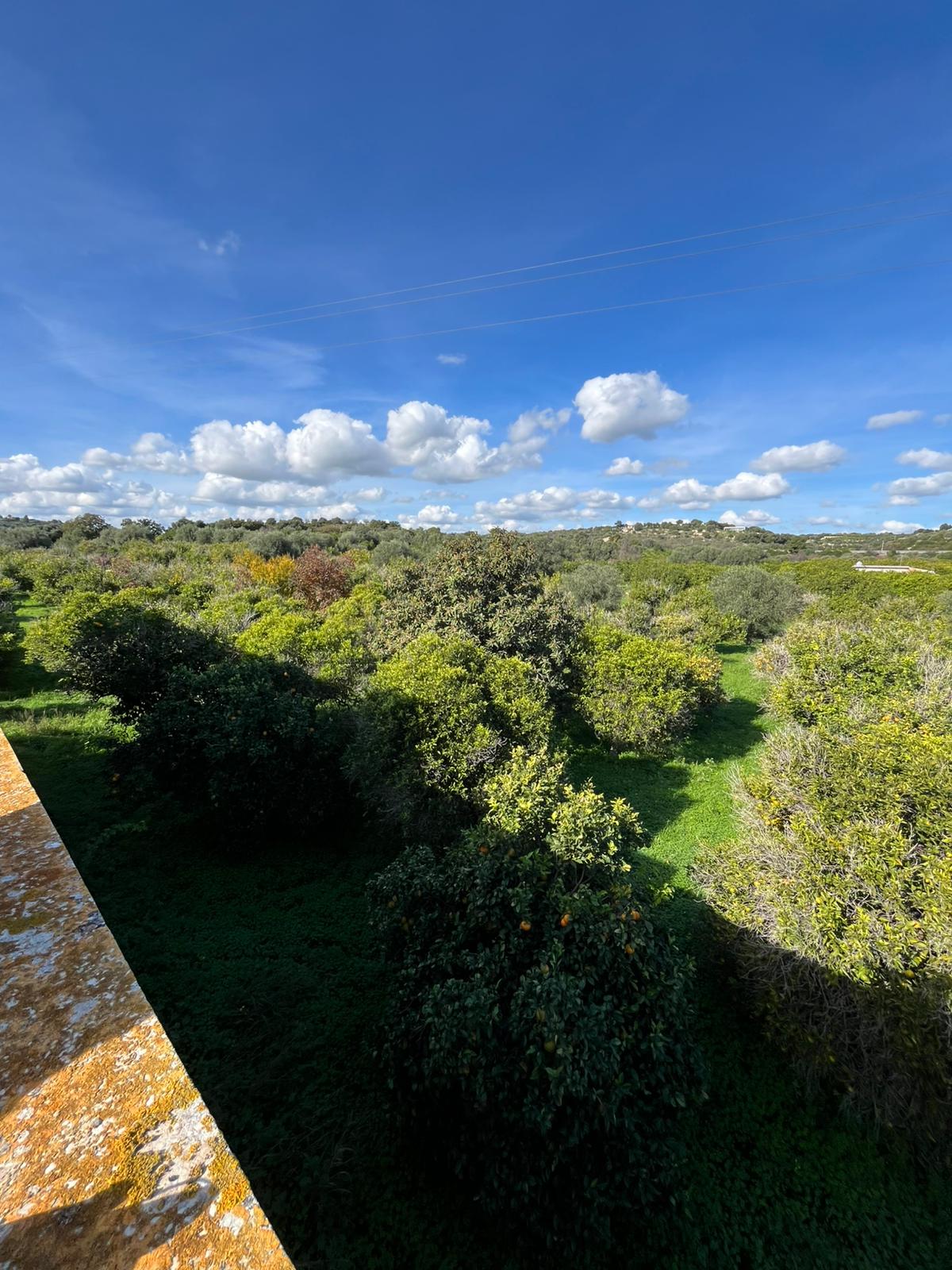 Noto - C.da Gioi (2)