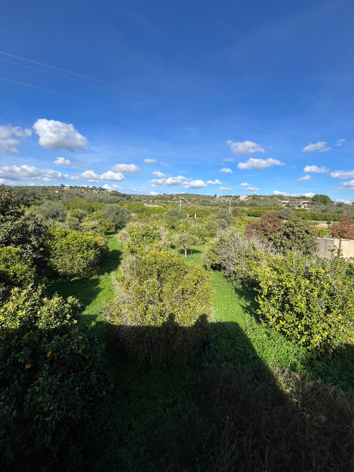 Noto - C.da Gioi (5)