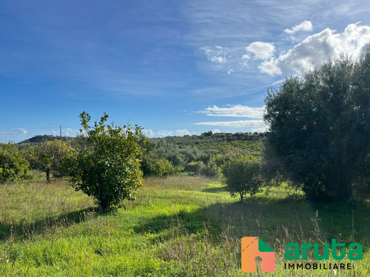 Noto - C.da Gioi (6)