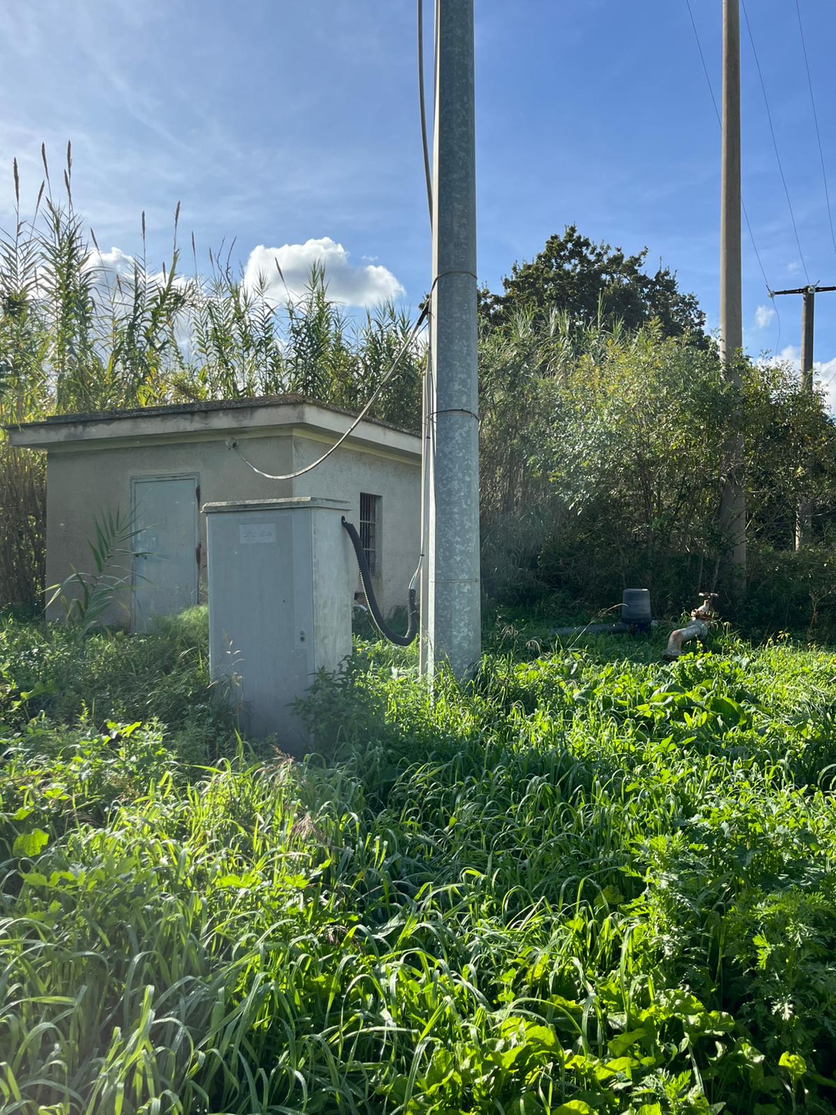 Noto - C.da Gioi (9)