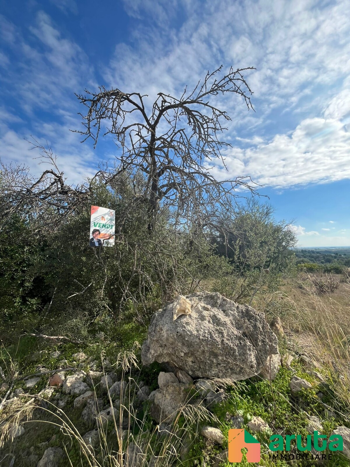 Noto - Terreno c.da Agliastro (1)