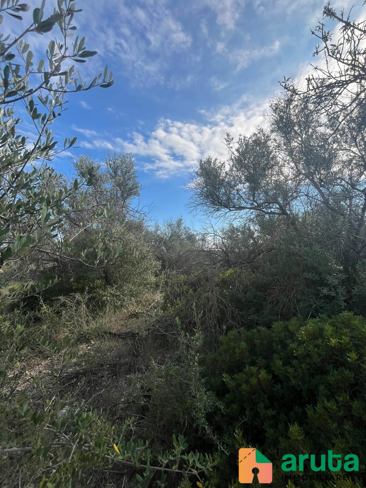 Noto - Terreno c.da Agliastro (4)