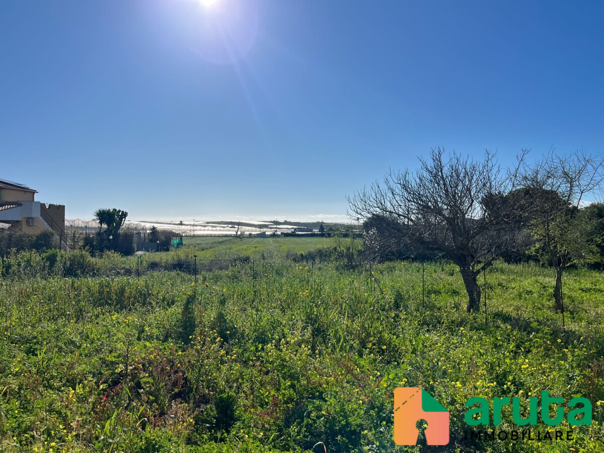 Pachino - C.da Chiappa (13)