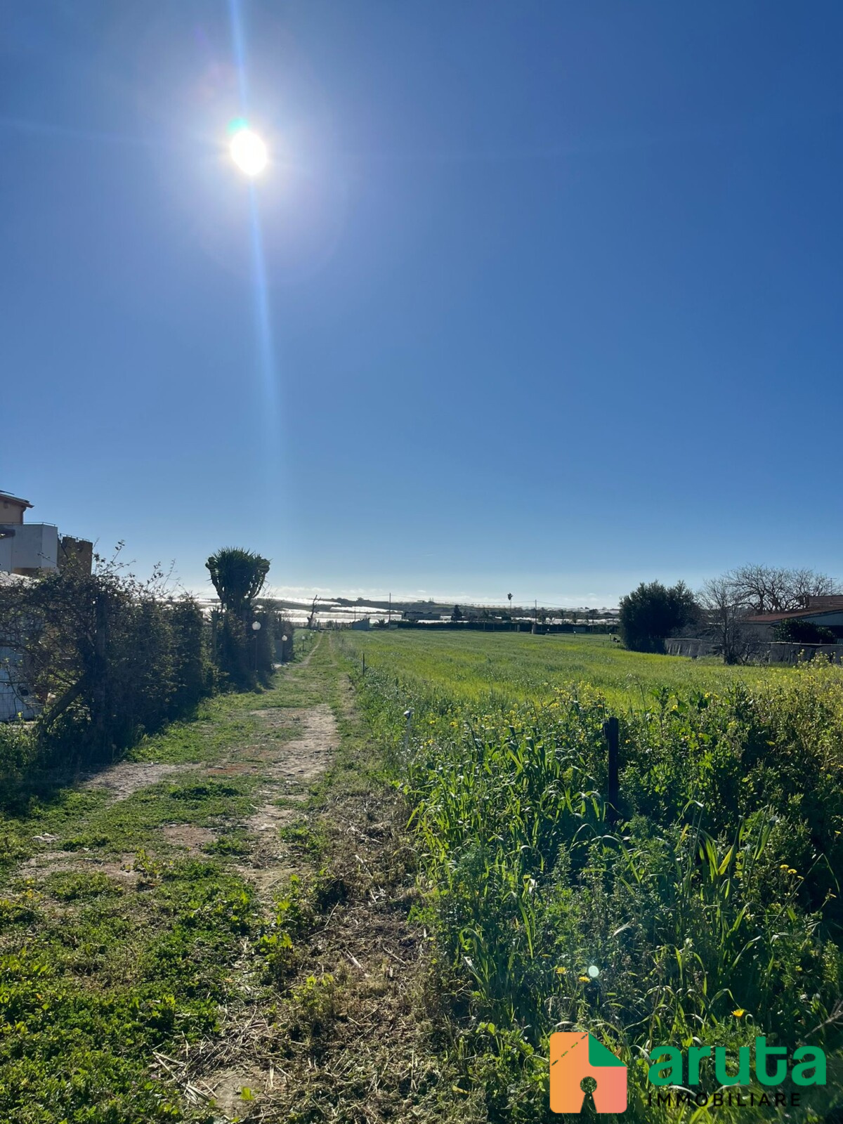 Pachino - C.da Chiappa (2)