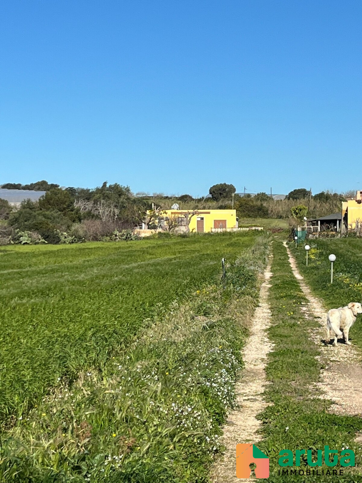 Pachino - C.da Chiappa (32)