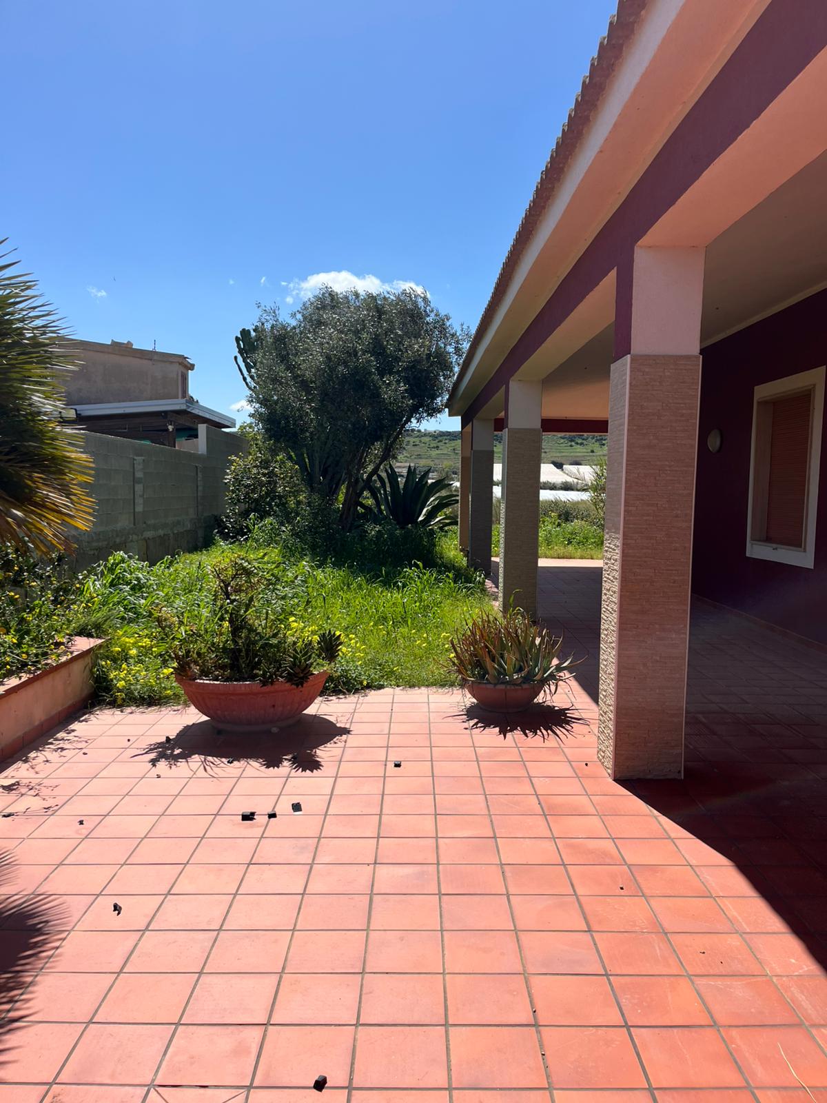 Pachino - Morghella (22)