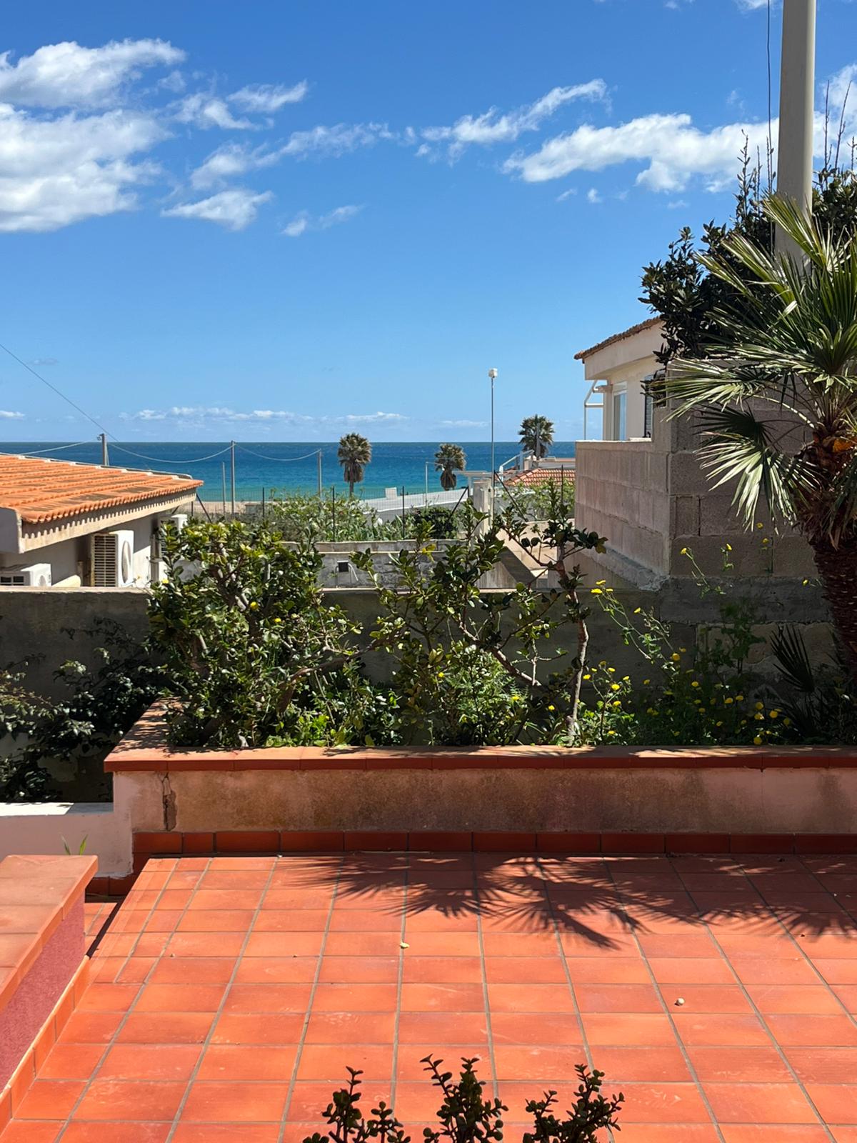 Pachino - Morghella (46)