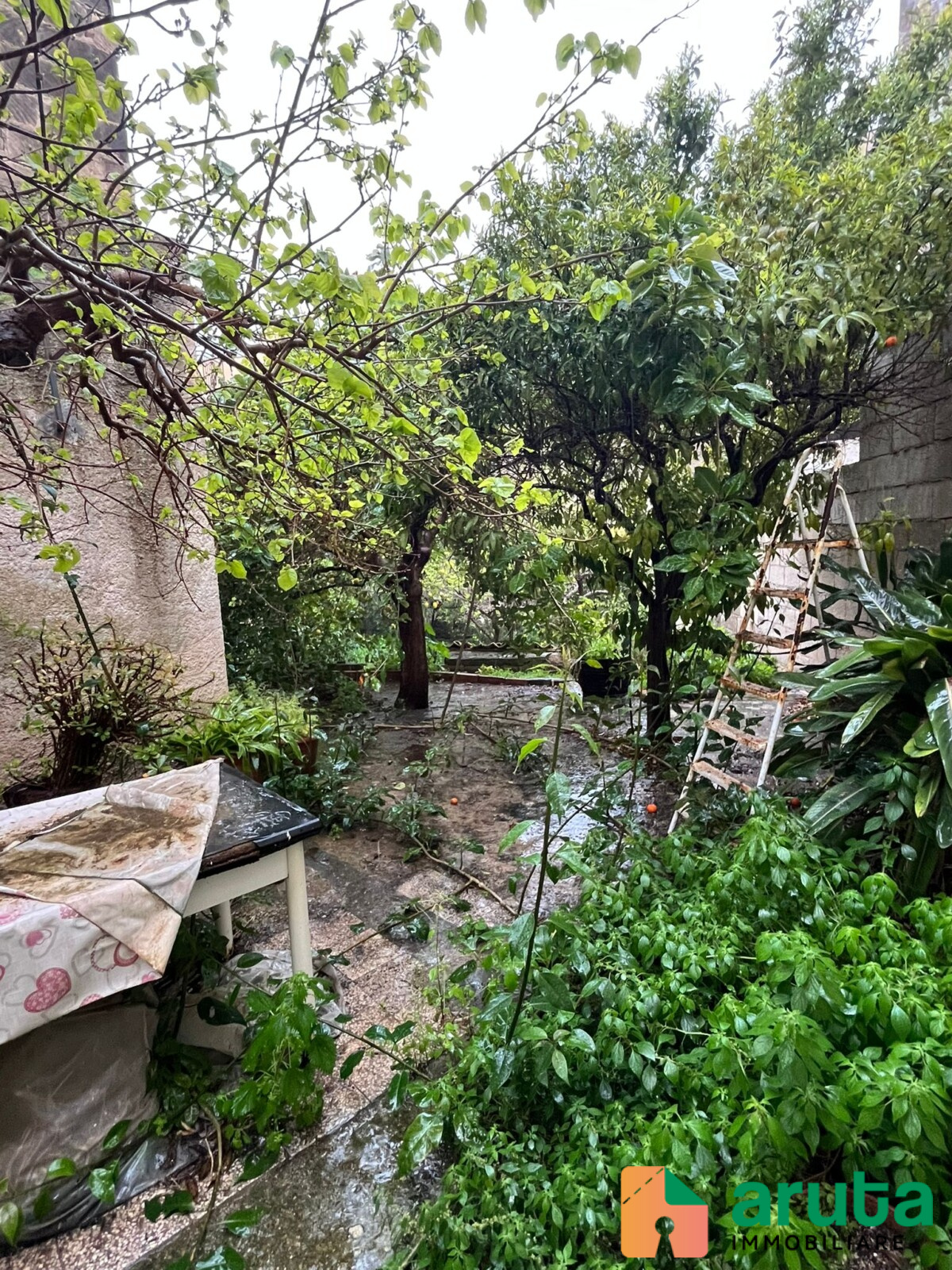 Noto - Vico Taro (1)