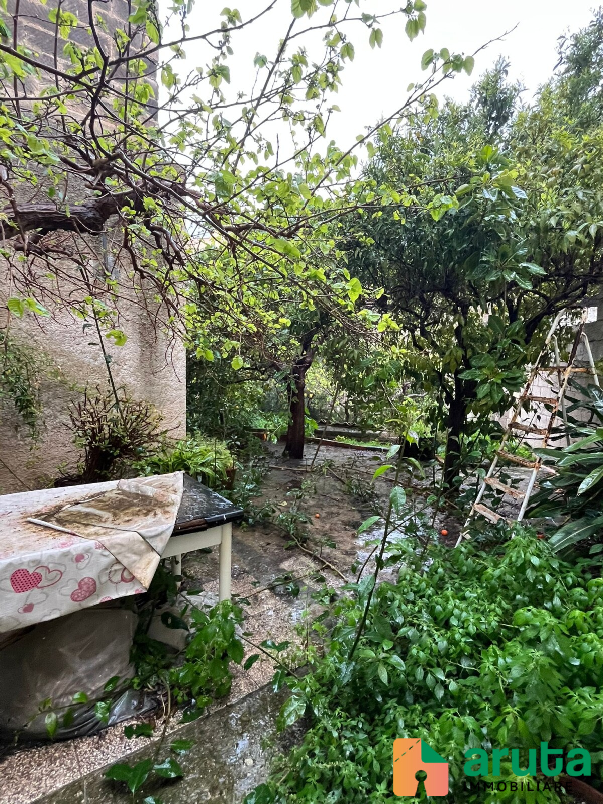 Noto - Vico Taro (11)