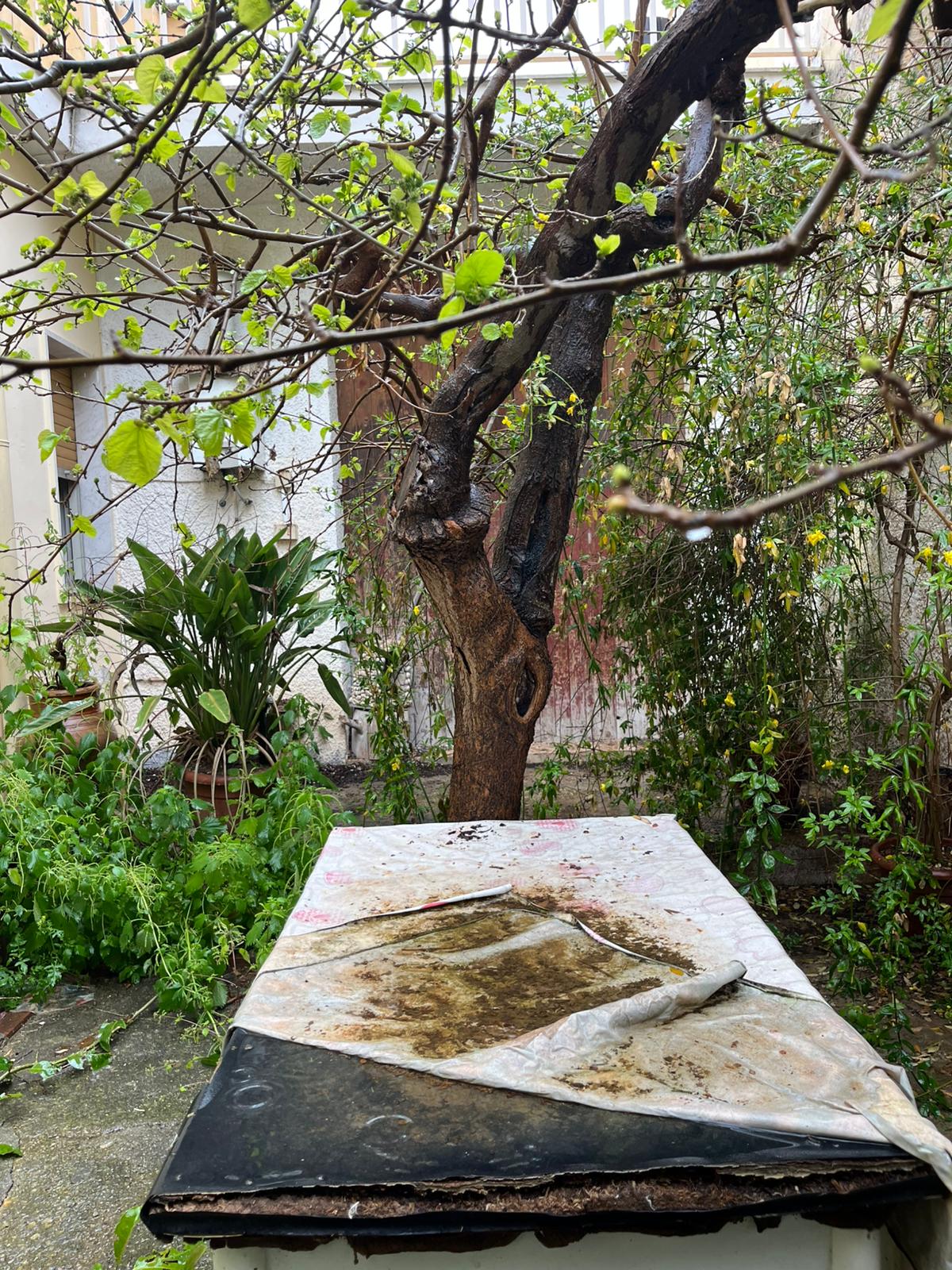 Noto - Vico Taro (12)